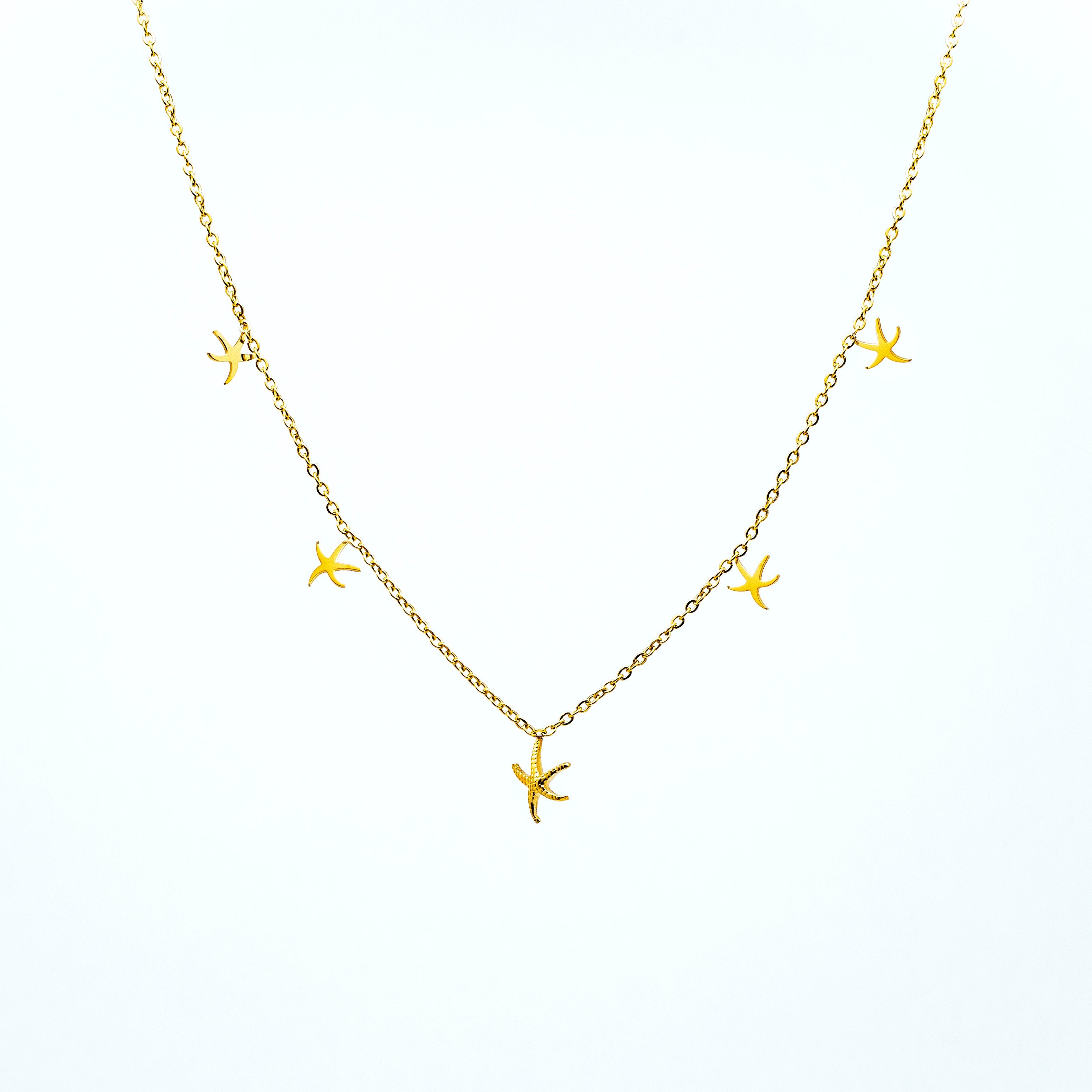 Choker Acero Estrella Marina
