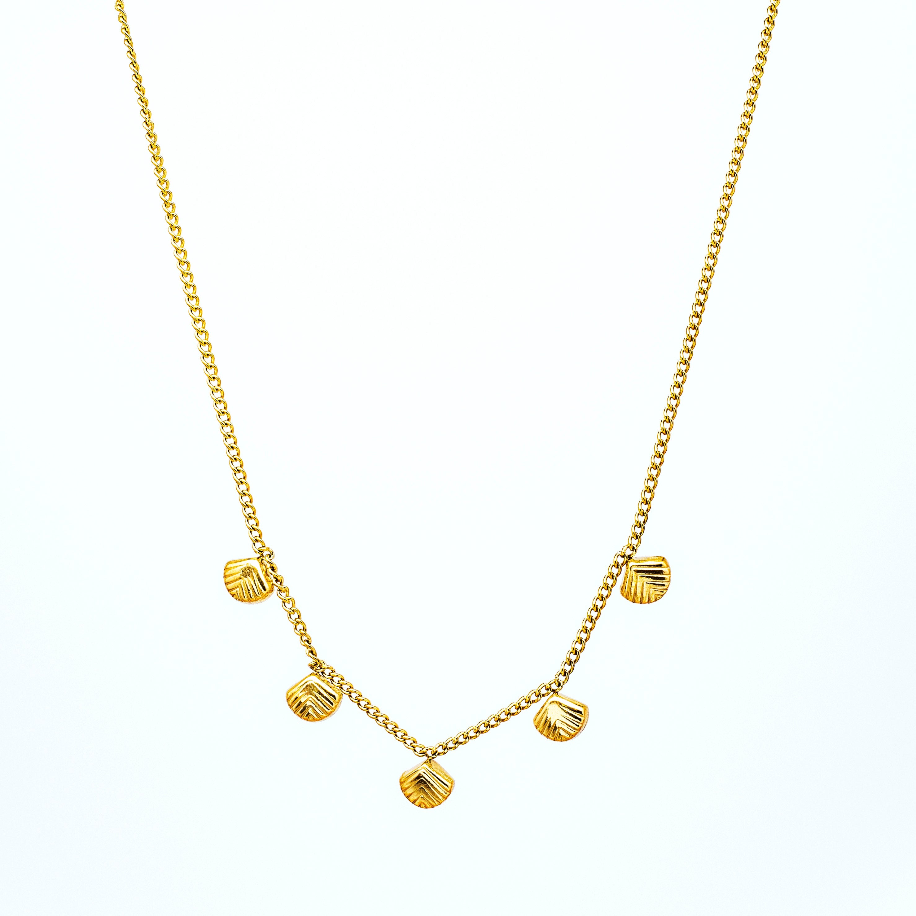 Choker Acero Tesoro Marino 🐚