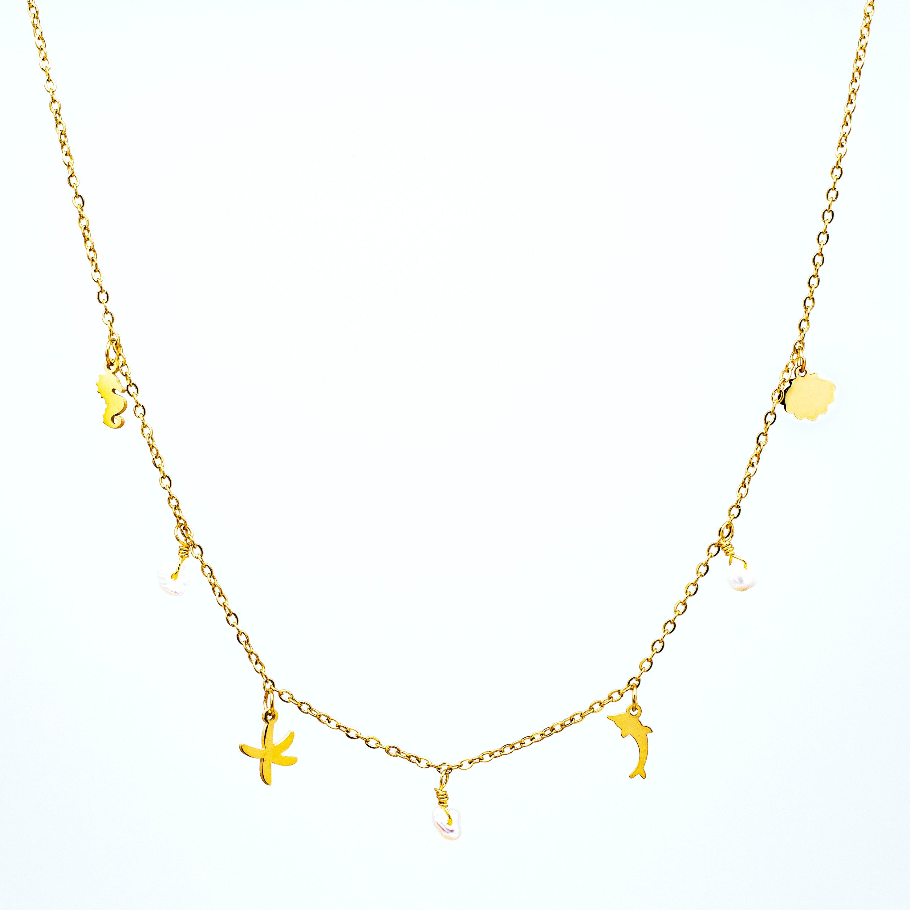 Choker Acero Magia Marina