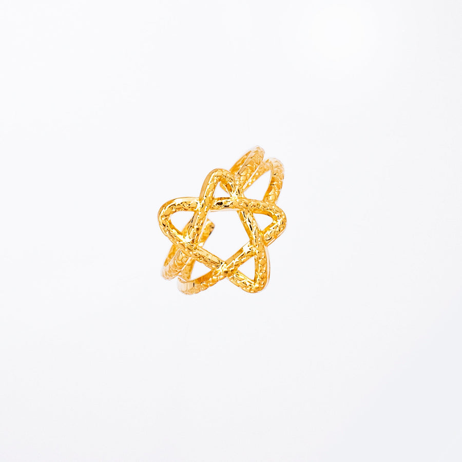 Anillo Acero