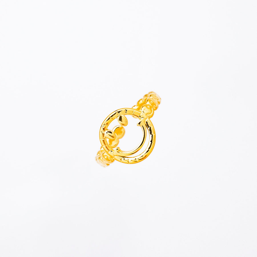 Anillo Acero