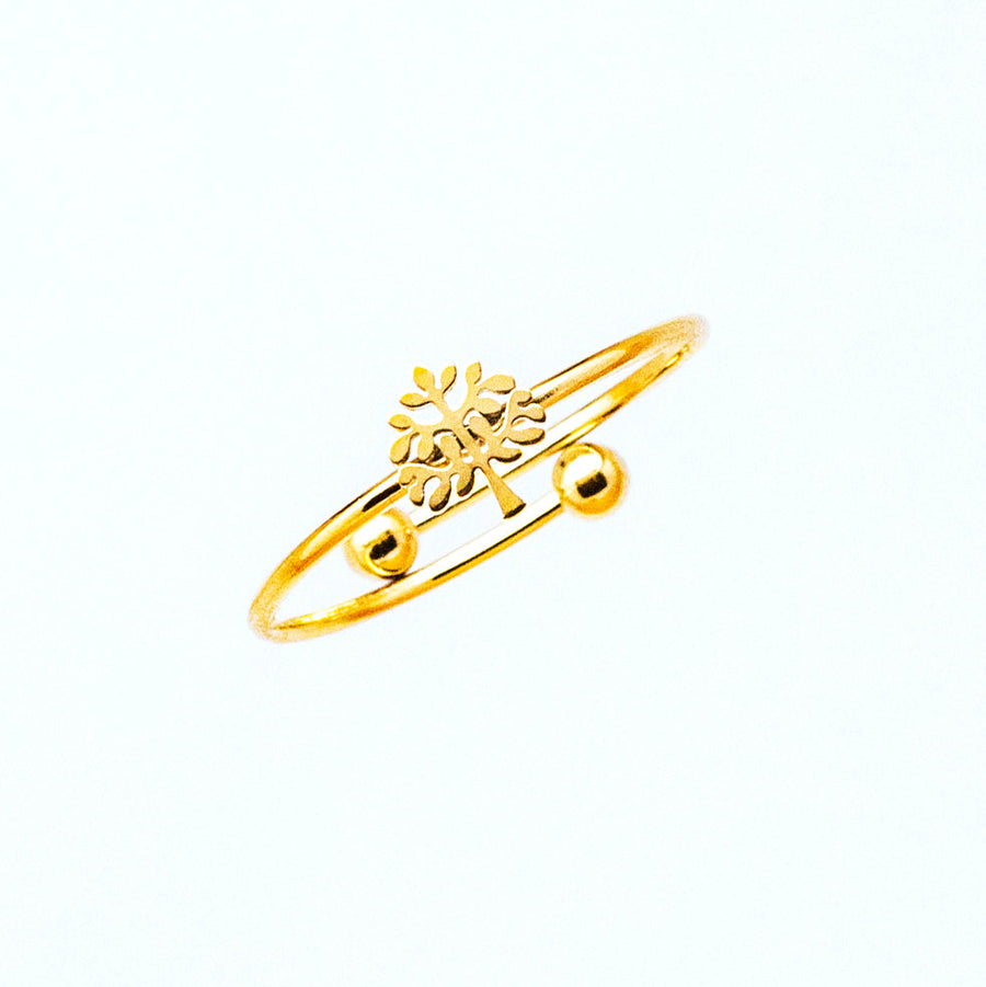 Anillo fino