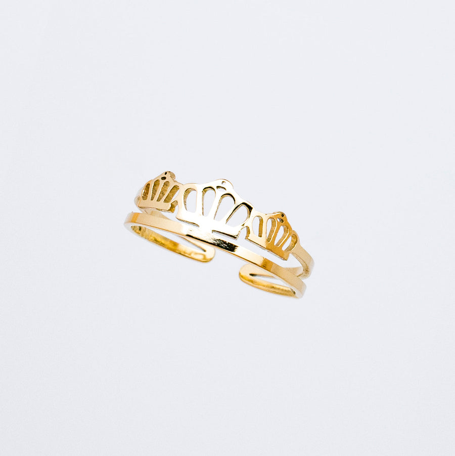 Anillo Acero