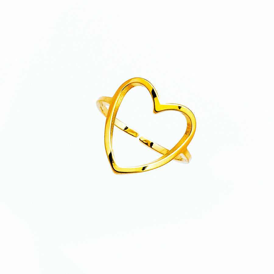 Anillo Acero